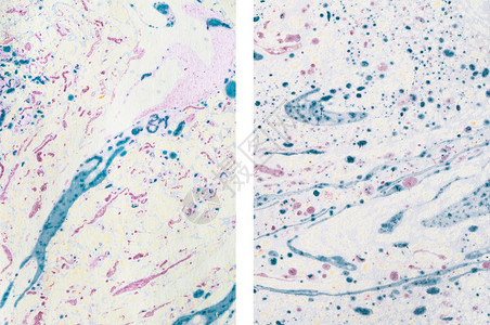 摘要 Marbled 纸质背景图片