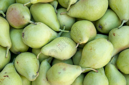 新鲜梨生态农业维生素甜点浆果植物食物素食季节饮食背景图片