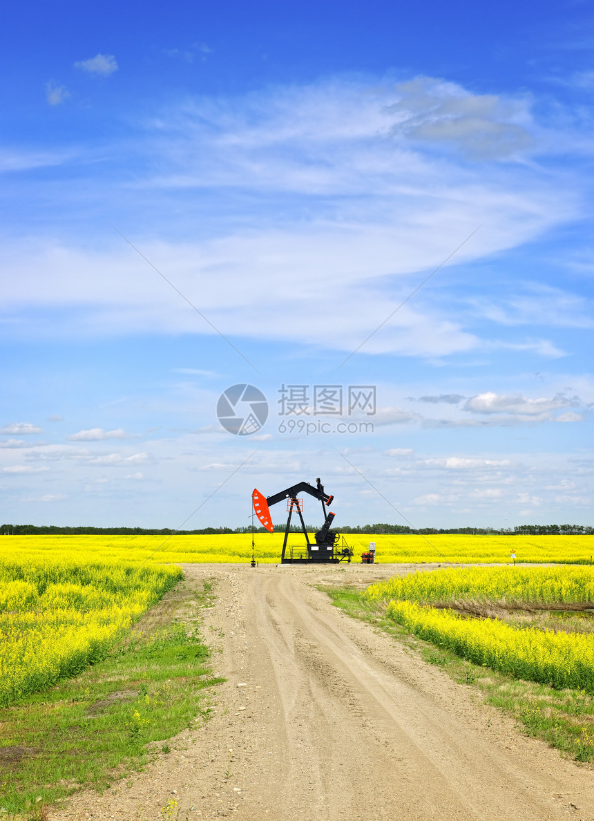 草原上点头油泵蓝色油菜籽活塞马头燃料气体场地原油石油机器图片