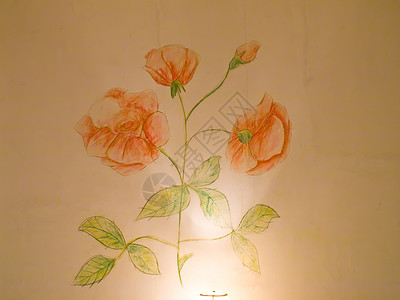 墙上的玫瑰壁壁装饰背景图片