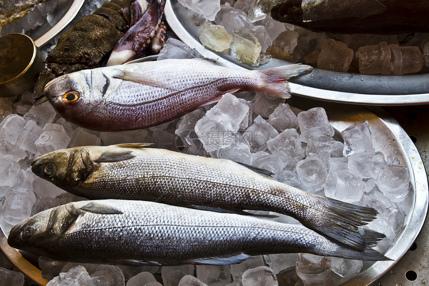鱼类渔夫死亡海鲜字符荒野食物水平摄影钓鱼闲暇图片