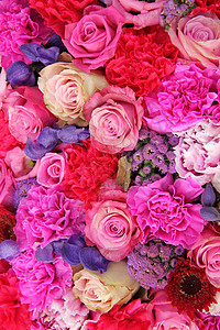 不同颜色菊粉色和紫色不同颜色的新娘装饰花朵绿色婚姻花店植物群婚礼花束装饰品作品植物学背景