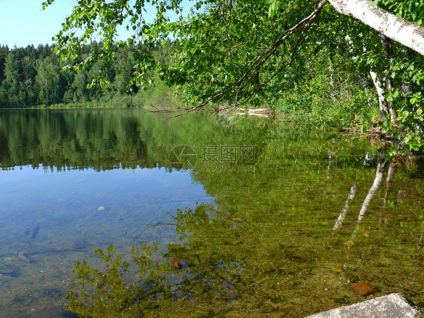 Chelyabinsk地区Turgoyak湖木头池塘天空国家阳光场景叶子森林反射蓝色图片