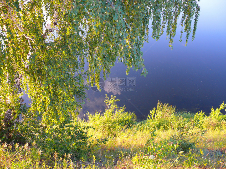 乌维尔卡河切利亚宾斯克地区晚间叶子植物池塘天空橙子场景桦木爬坡森林太阳图片
