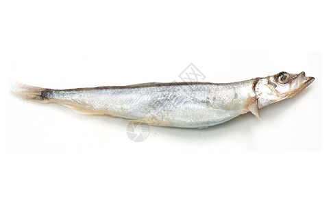 特写一个白色的沙丁鱼 上面有个小影子游泳食物营养阴影菜单厨房饮食尾巴钓鱼午餐生活高清图片素材
