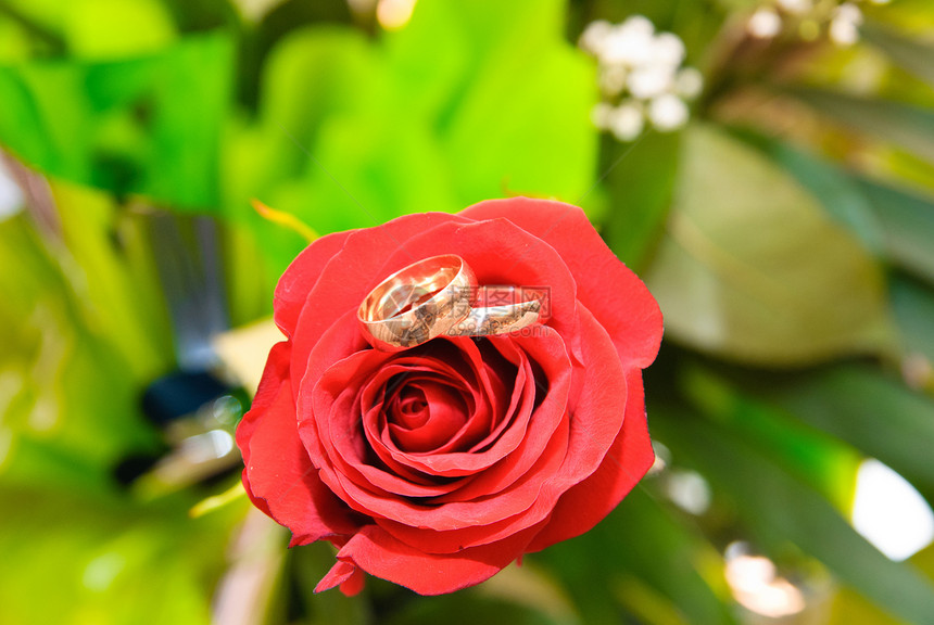 结婚带戒指红色玫瑰浪漫新娘婚礼花束仪式新人庆典图片