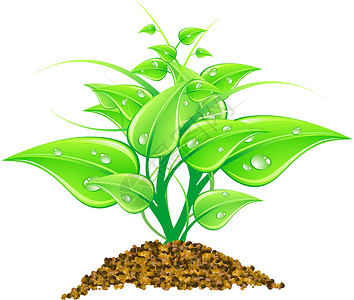 矢量说明环境概念     绿叶 宏观太阳植物群生活墙纸植物装饰风格绘画插图叶子背景图片