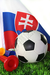 2010年世界杯运动游戏赛事旗帜冠军锦标赛体育足球背景图片