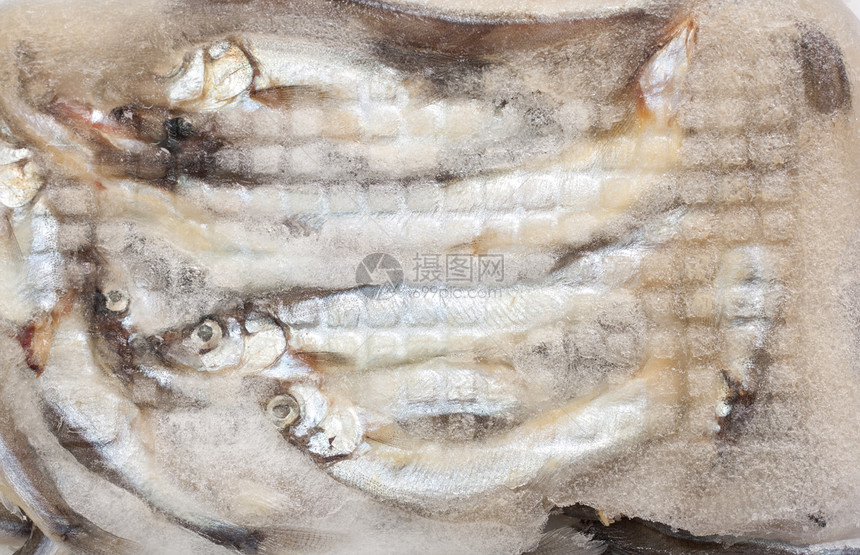 市场上的冰中的鱼零售食物冷却器展示购物团体主食鲭鱼摊位尾巴图片
