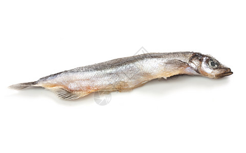 特写一个白色的沙丁鱼 上面有个小影子菜单钓鱼食物眼睛营养阴影游泳午餐海洋尾巴自然高清图片素材