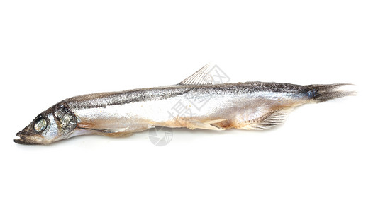 特写一个白色的沙丁鱼 上面有个小影子饮食菜单食物生活阴影尾巴海洋营养厨房游泳蛋白质高清图片素材
