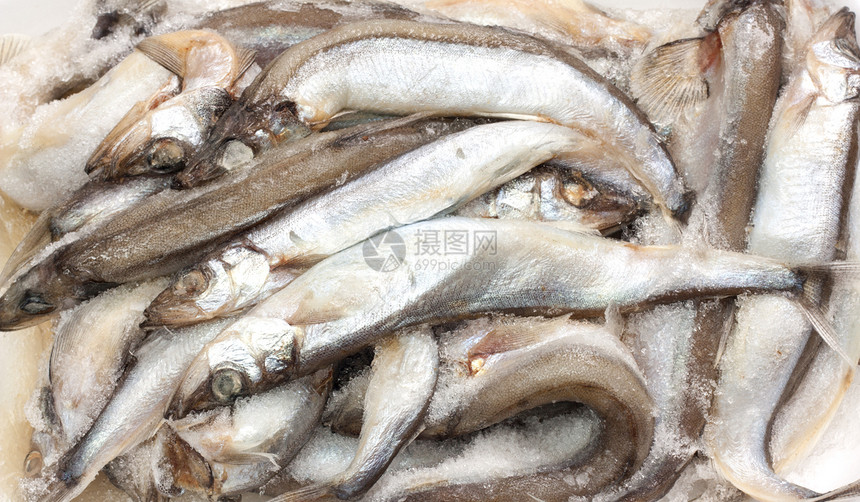 市场上的冰中的鱼摊位团体海鲜鲭鱼主食零售购物店铺熟食展示图片