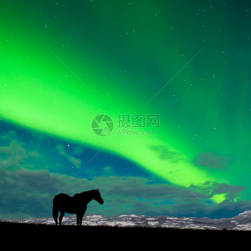 北极光天空下 马匹漫漫雪峰图片