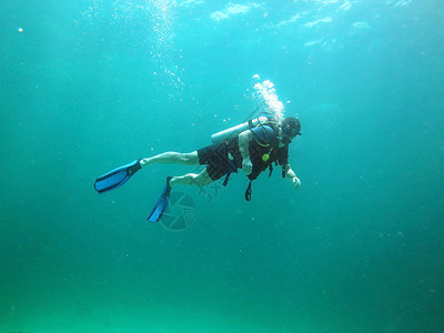 巴厘岛潜水潜水休息环境游泳热带海上生活海洋场景珊瑚爱好假期背景