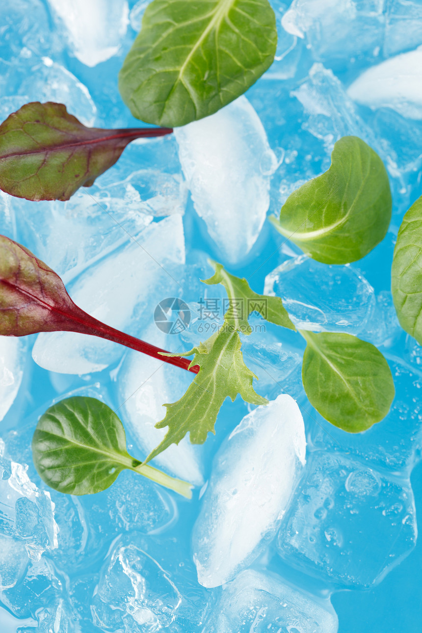 冰雪和结叶气泡饮食液体沙拉冷藏正方形玻璃反射菠菜叶子图片