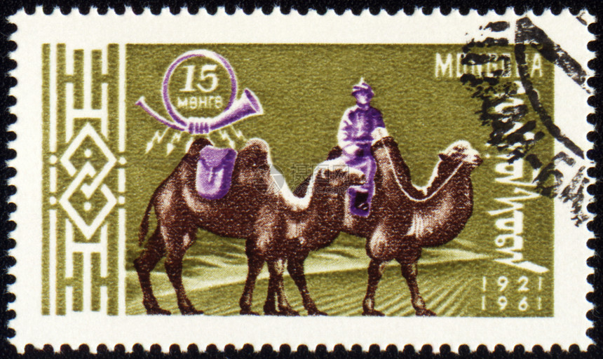 印章上印有两头骆驼的骆驼图片