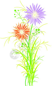野姜花春季多彩花花贺卡橙子粉色紫色叶子创造力季节野叶雏菊植物群白色设计图片