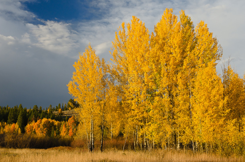 美国怀俄明州 大泰顿国家公园 秋天的山和云图片