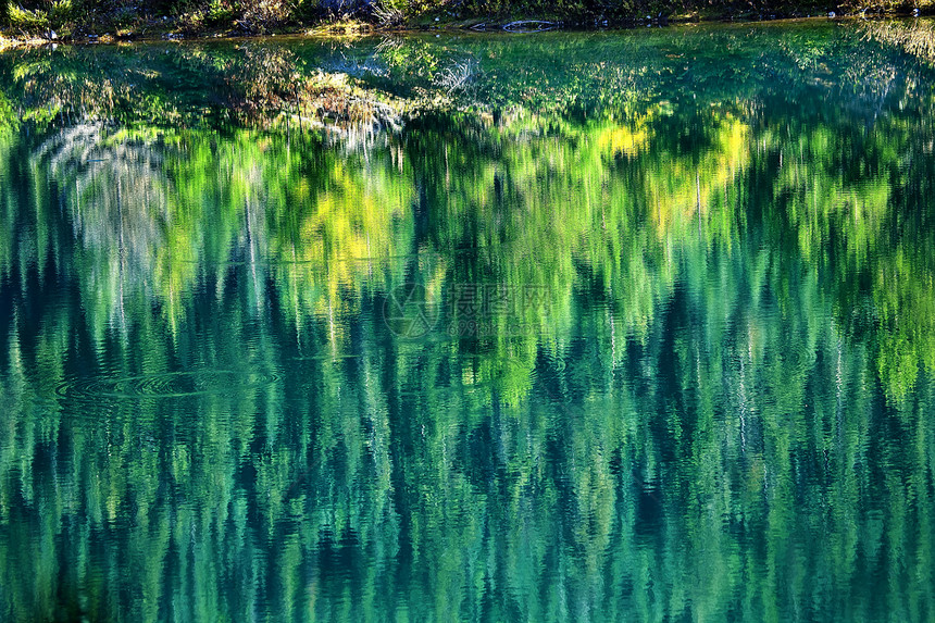 绿黄树瀑布反射金金湖Snoqualme通过洗涤图片