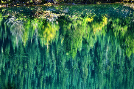绿黄树瀑布反射金金湖Snoqualme通过洗涤背景图片