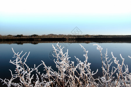 寒冷的蓝天和河流下雪时冰冻的枝状高清图片