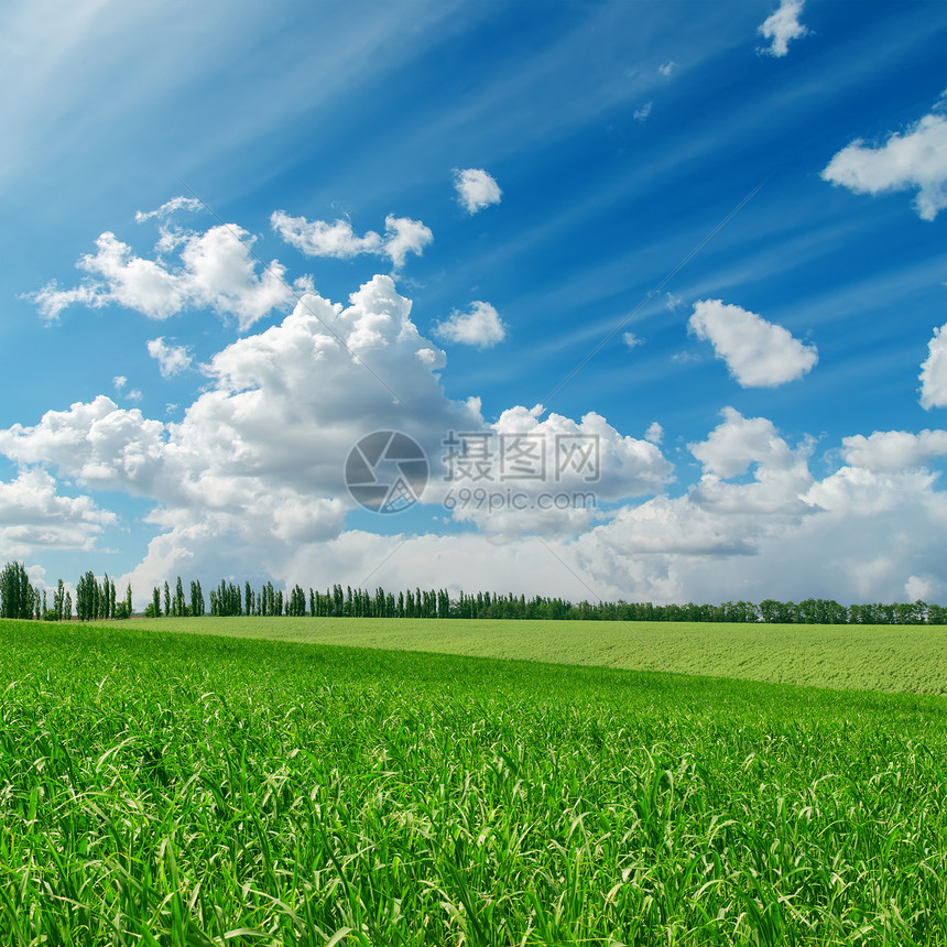 青草在阴云碧丽的蓝色天空下阳光生长树木场地空气风景农村草地农田牧场图片