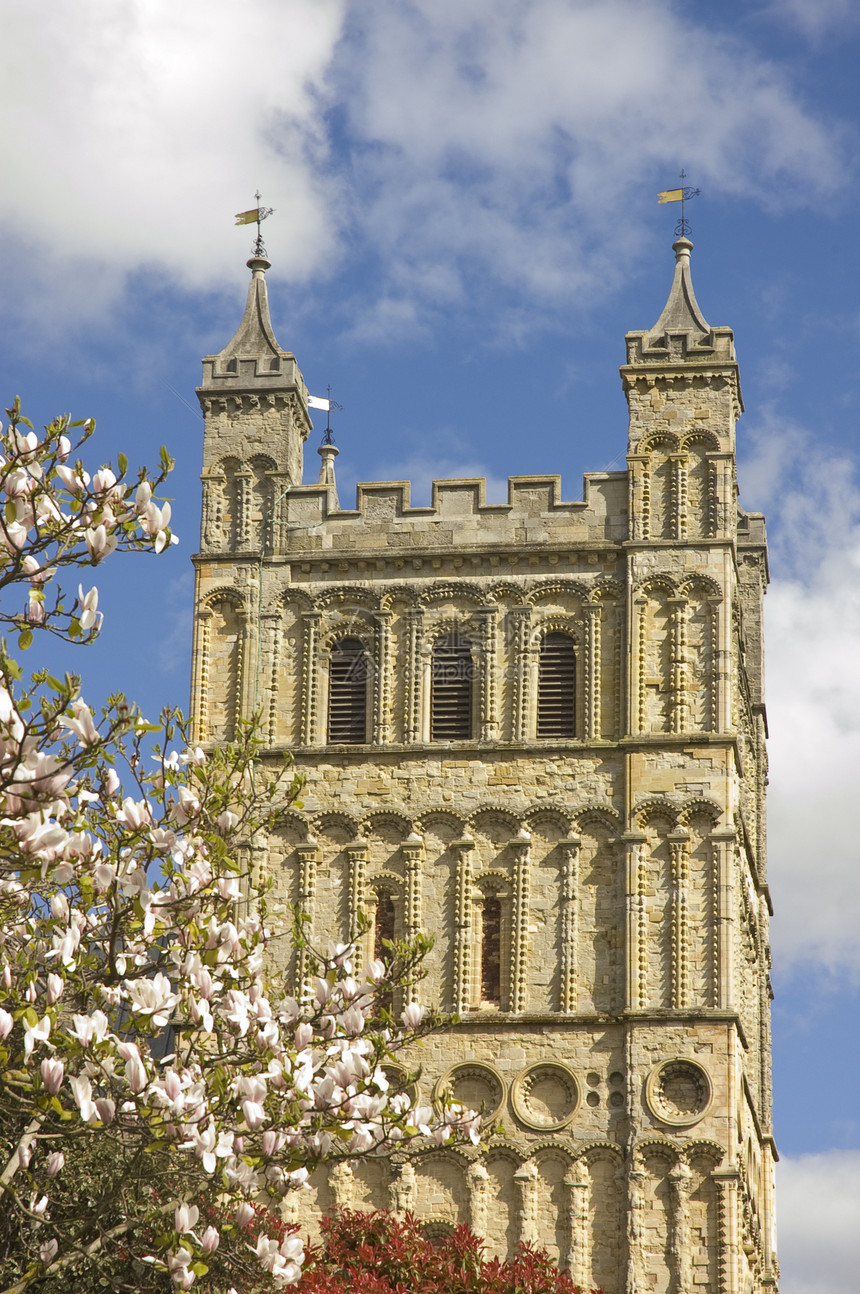 Exeter大教堂教会石头花丝建筑学窗户旗帜钟楼宗教玉兰花瓣图片