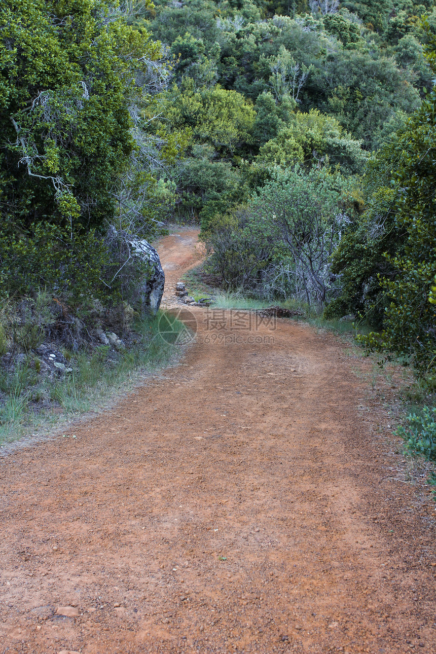 南非桌式山远足路 南非场景植物远足红沙曲线环境国家森林人行道踪迹图片