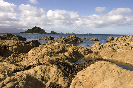 坚崎的海岸线作物海景渡船海洋水池日志岛屿海藻直道岩石背景图片