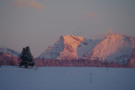 阳光明媚的寒冬山旅行季节蓝色冰川太阳天空滑雪森林全景气候霜高清图片素材