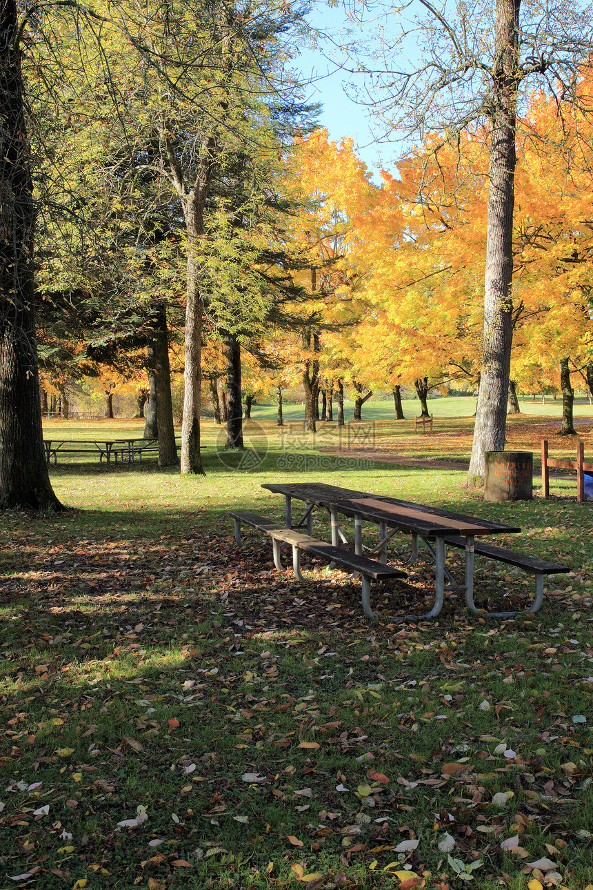 秋天的季节变了草地植被野餐鸟类公园长凳天空阳光黄色季节性图片