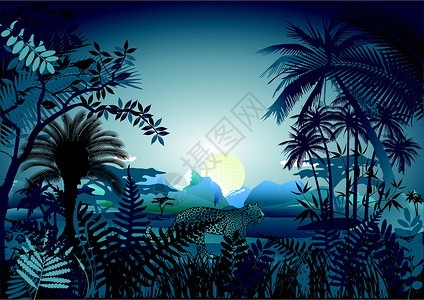 亚马逊森林热带雨林中的夜晚插画