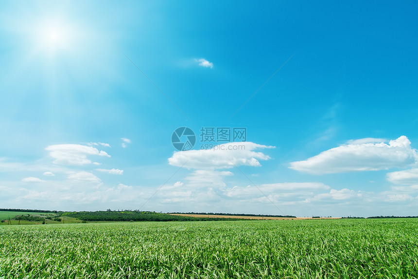 绿地和蓝天空与太阳天空农场世界国家地平线生长环境农村天堂场景图片