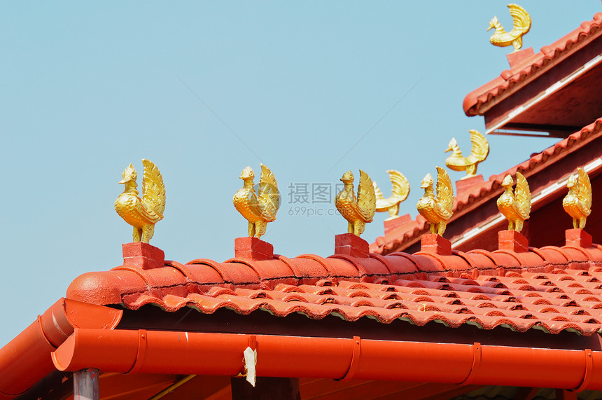 泰国寺庙的装饰房顶建筑学雕刻孔雀金子雕塑上帝宗教蓝色旅行旅游图片