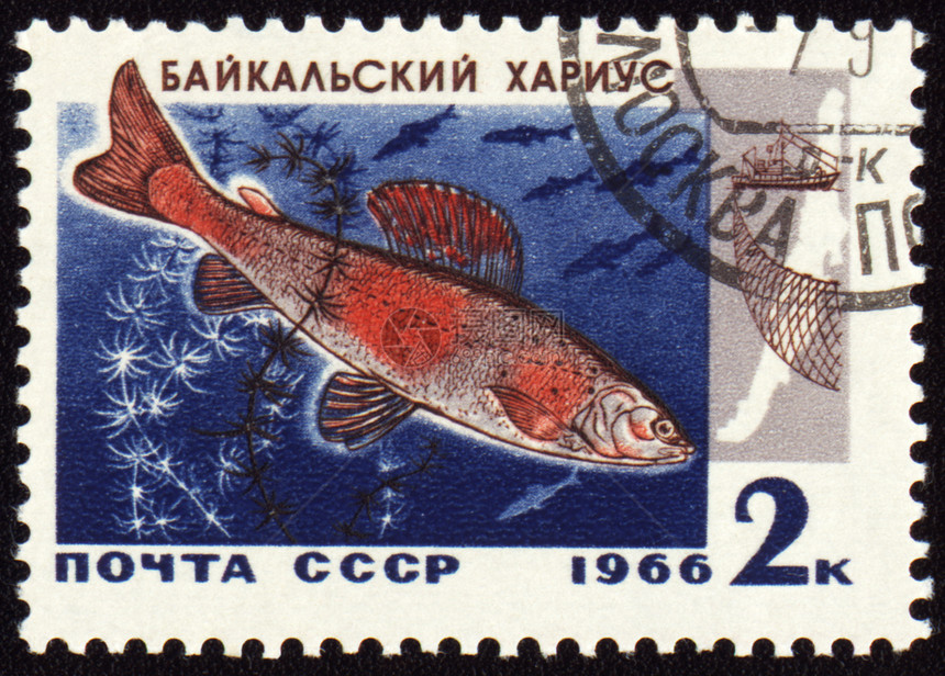 贴在邮票上的Baikal灰色图片