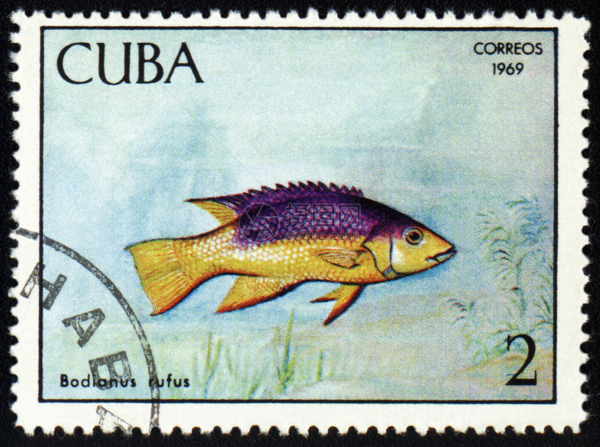邮票印章上的鱼图片