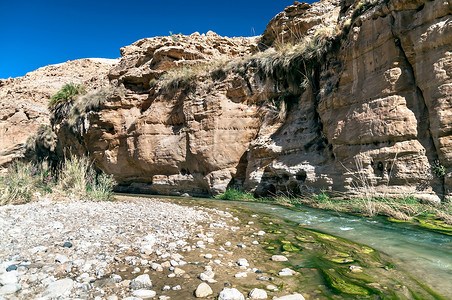 峡谷岩河约旦瓦迪哈萨河谷的小溪天空远足崎岖藻类溪流绿色植物急流生态娱乐荒野背景