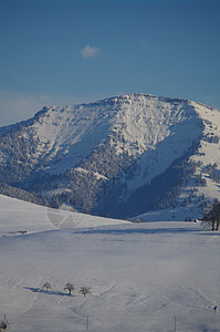 阳光明媚的寒冬山松树木头冰川旅行森林降雪天空季节气候蓝色阿尔卑斯山高清图片素材