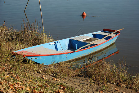 河上的船只凸轮农村反思划桨传统平底船下注者乡村背景图片