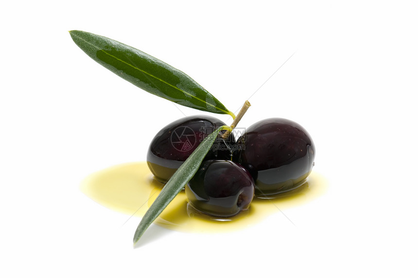 用橄榄油洗三个新橄榄树叶营养饮食绿色食物农业水果白色原油橄榄枝图片