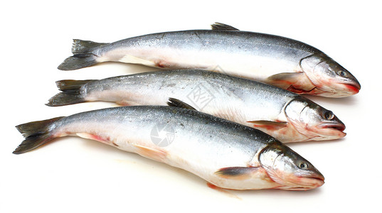 新鲜鱼食物鱼片海鲜餐厅海洋厨房产品尾巴背景图片