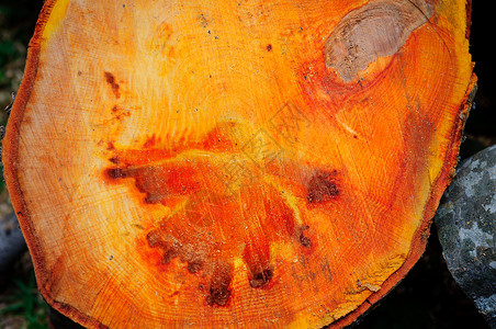 木质上的橙色鬼魂背景图片