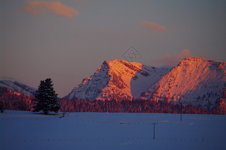 阳光明媚的寒冬山高山太阳风景季节岩石木头滑雪降雪天空松树假期高清图片素材