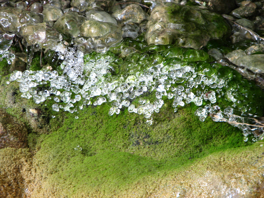 冰雪森林大理石石头叶子冻结植物包围水滴图片