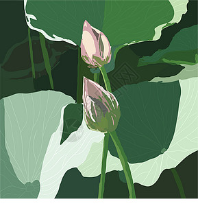 现实的东方莲花  一朵花冥想异国装饰品热带植物群风格植物叶子墙纸插图背景图片