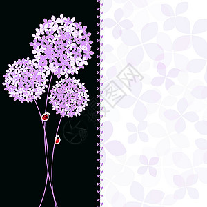 春季紫色粉红花蜜花贺卡背景图片