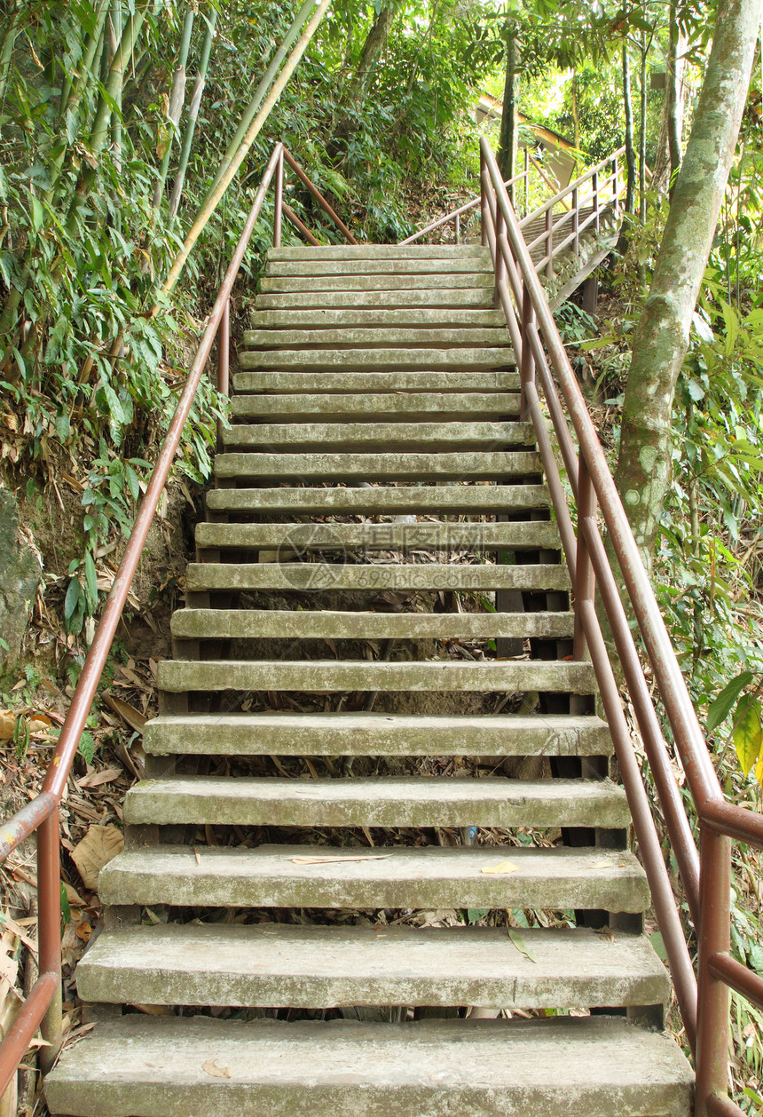 通往丛林的阶梯路 乔亚伊国家公园途径石头远足曲线脚步人行道踪迹荒野公园楼梯图片