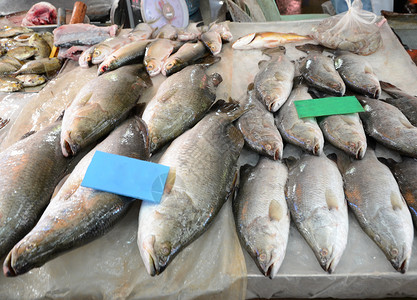 泰国泰河地区市场上的新鲜鱼鲜海产食品鳍高清图片素材