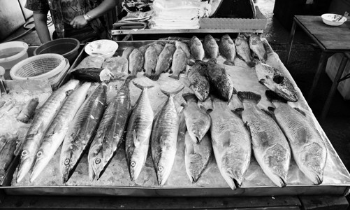 市场上鲜新鲜鱼海产食品品种繁多维生素美味柜台节食低音鲳鱼鲭鱼烹饪海洋销售鳍高清图片素材