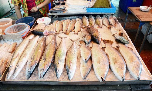 市场上鲜新鲜鱼海产食品品种繁多节食美味食物鲭鱼美食餐厅柜台低音钓鱼烹饪海洋高清图片素材